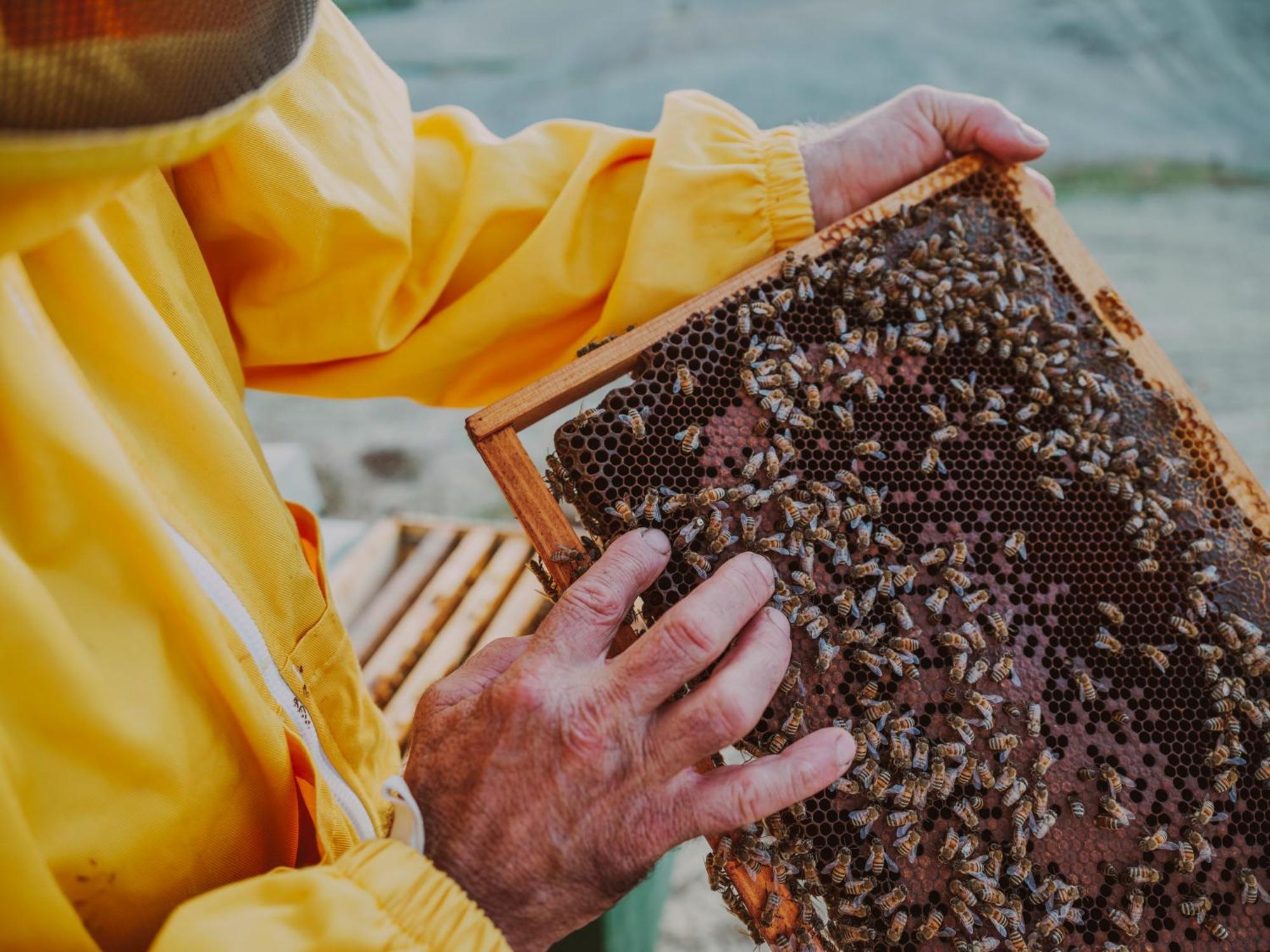 Agriturismo Pompilia Villamagna  Ngoại thất bức ảnh