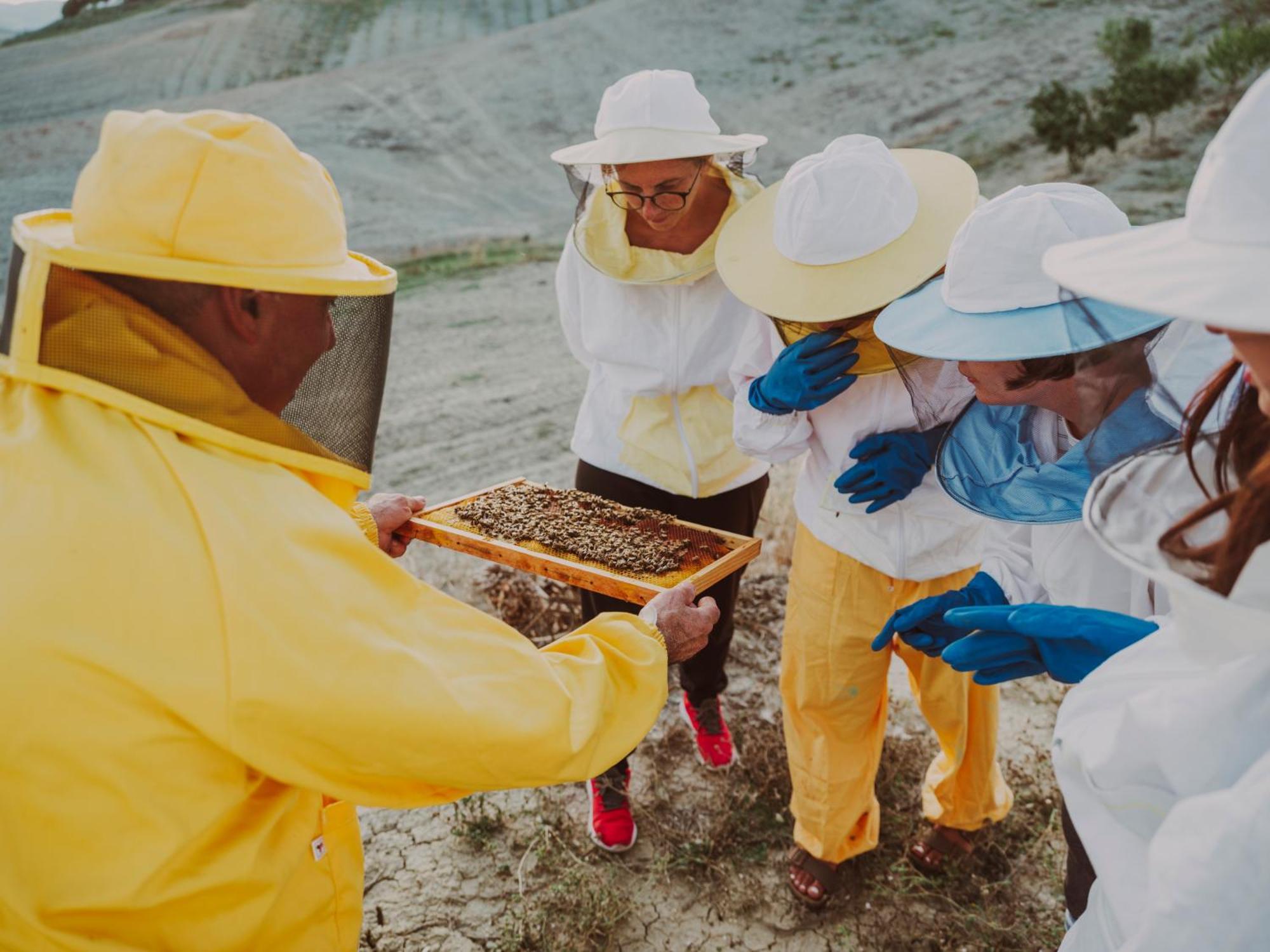 Agriturismo Pompilia Villamagna  Ngoại thất bức ảnh